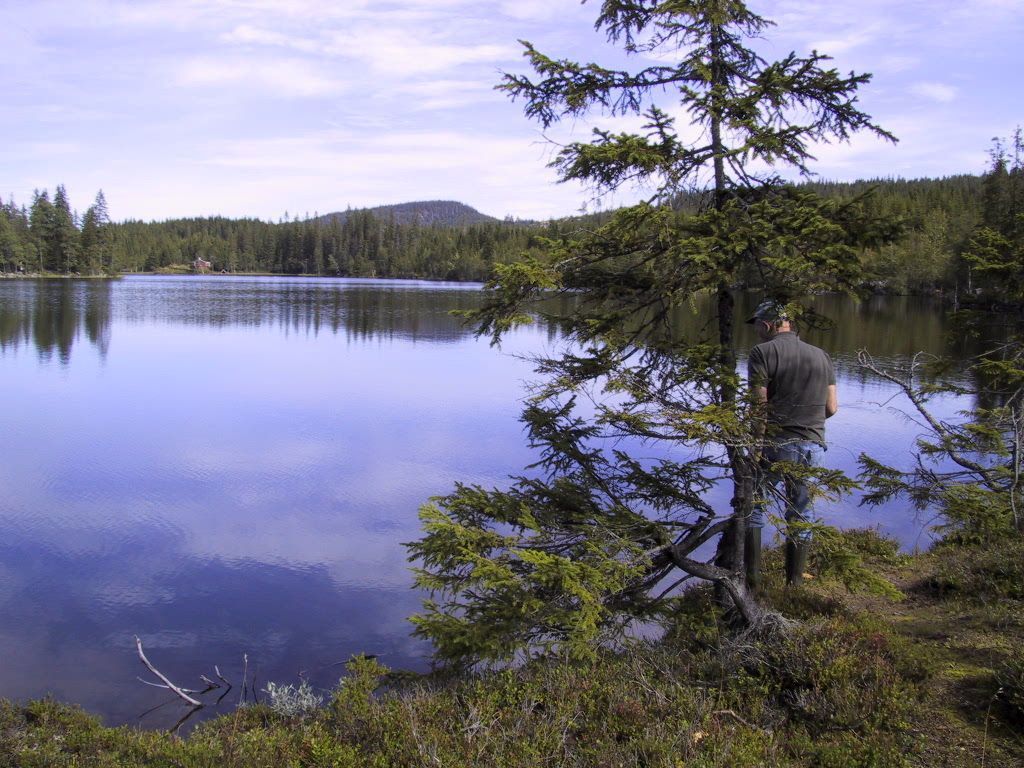 Fluefiske i solskinnet