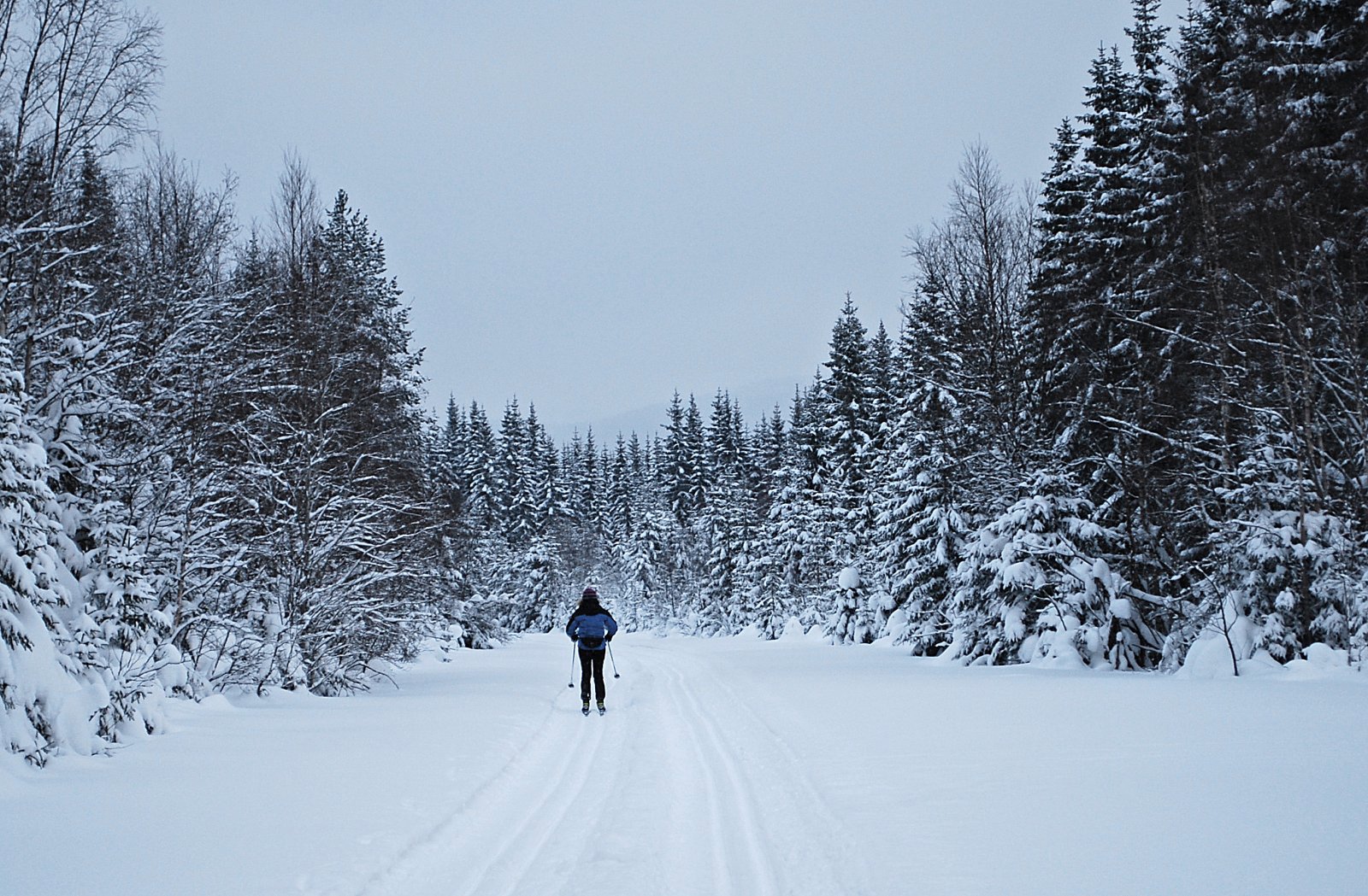 Flystripa i Skrukkelia