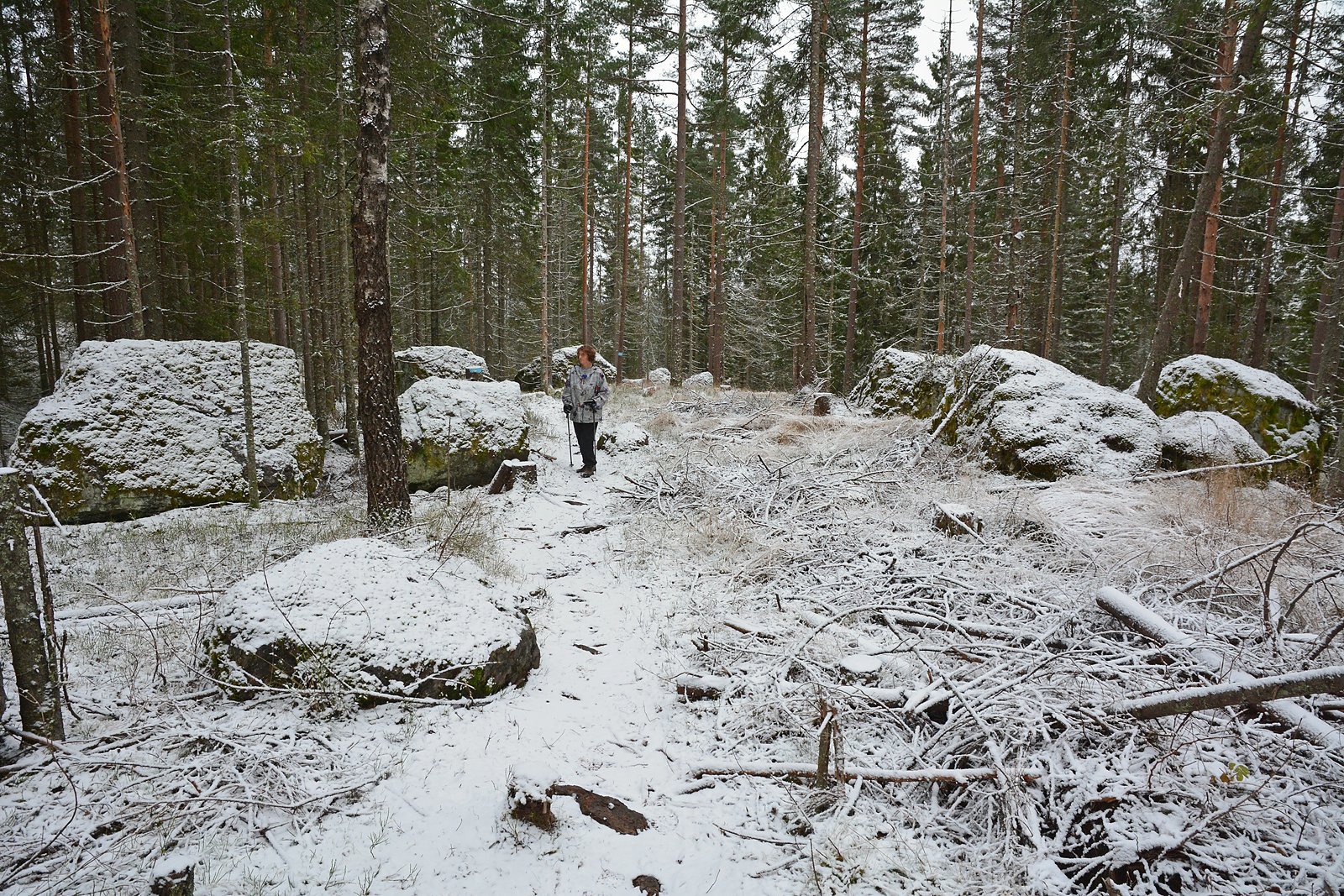 Flyttblokker på Tangenåsen
