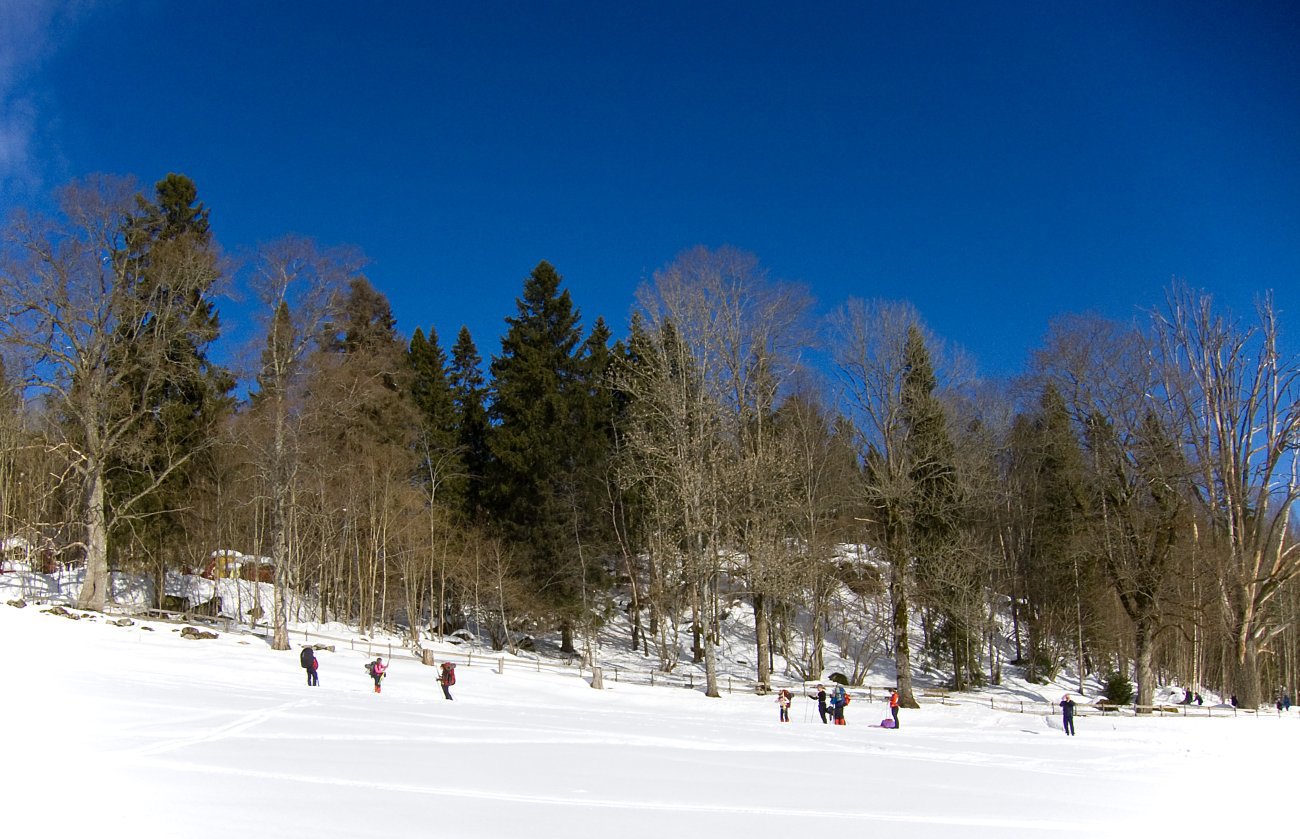 Folksomt i Tveiterbakkene