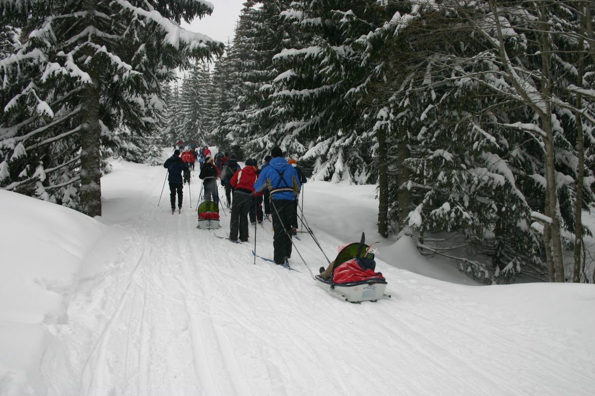 Folksomt ved Myggheim