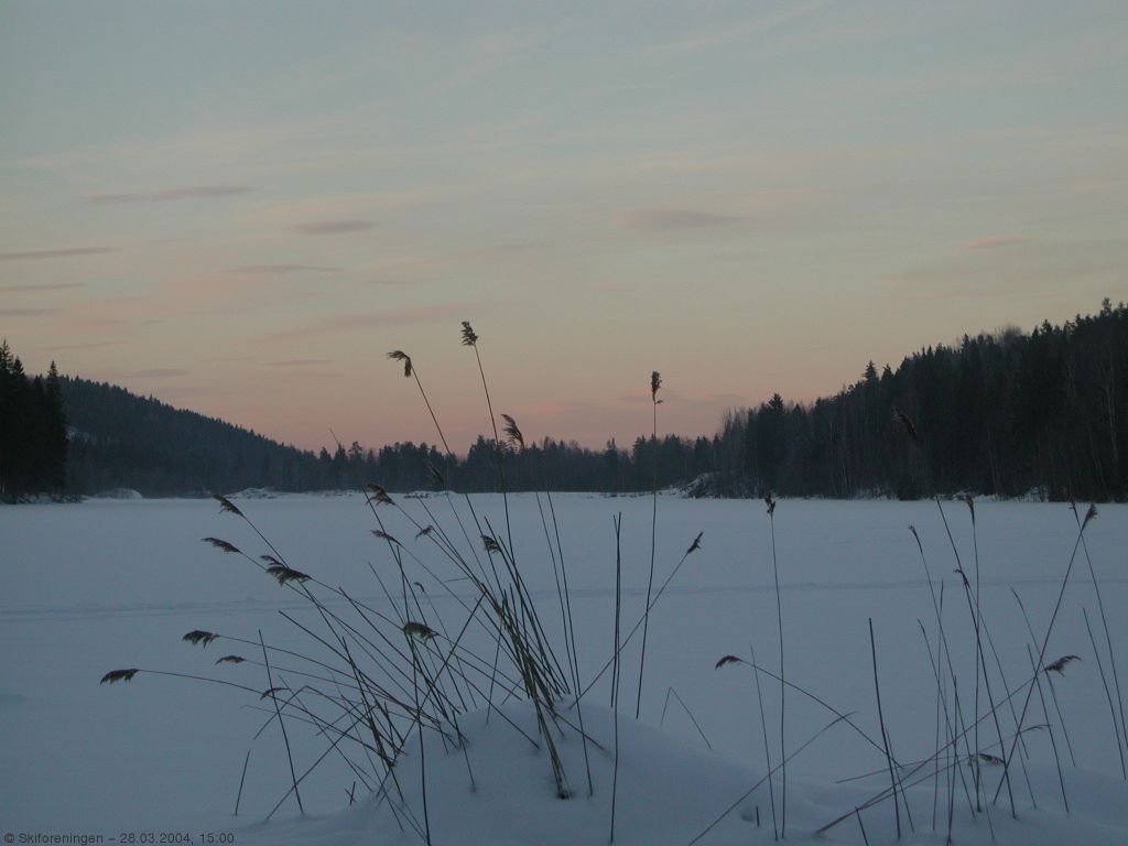 For hundre år siden ville Bårsrudtjern vært brøytet på grunn av isskjæring