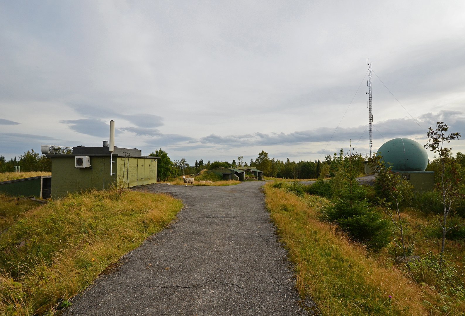 Før militært område, nå beitemark for sau