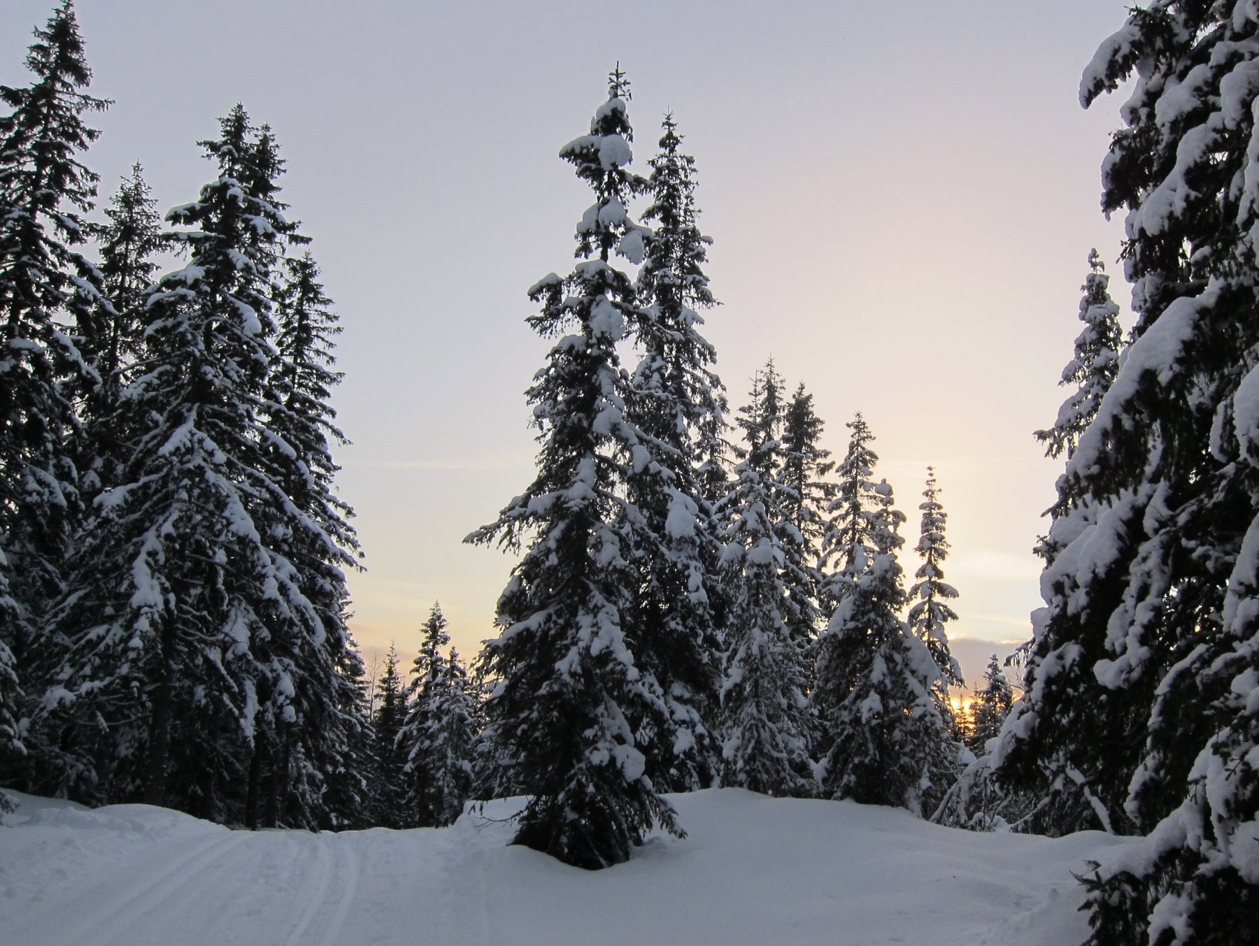Før nedkjøringen ved Lauvhøgda