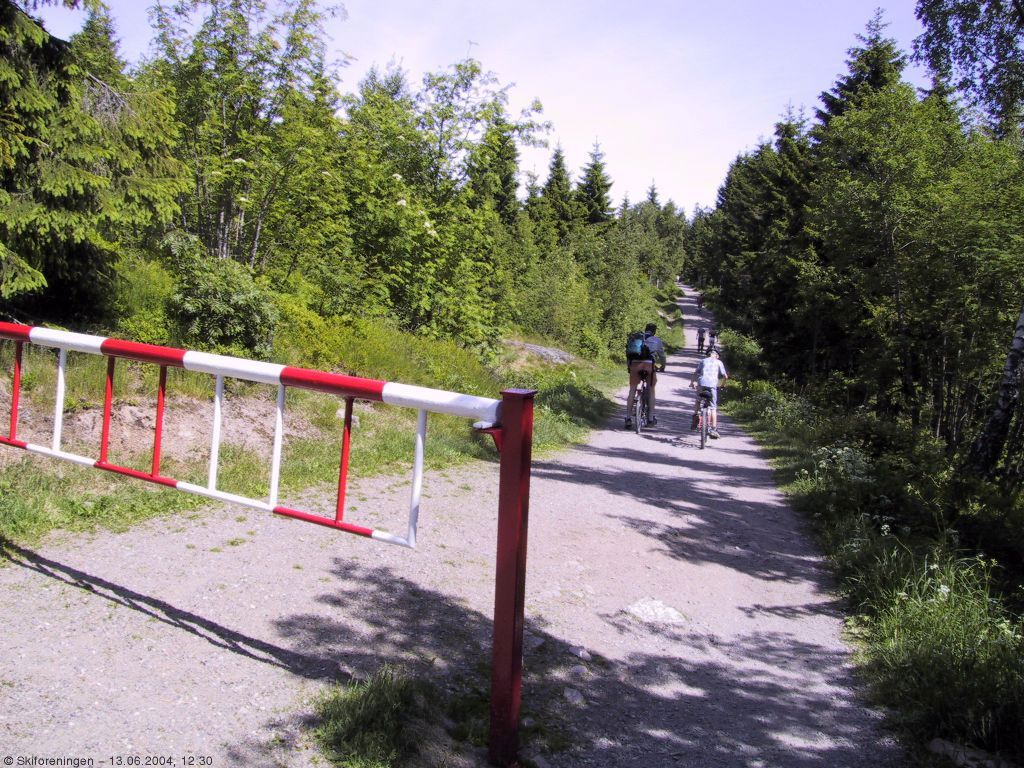 Forbi bommen - og rett til skogs