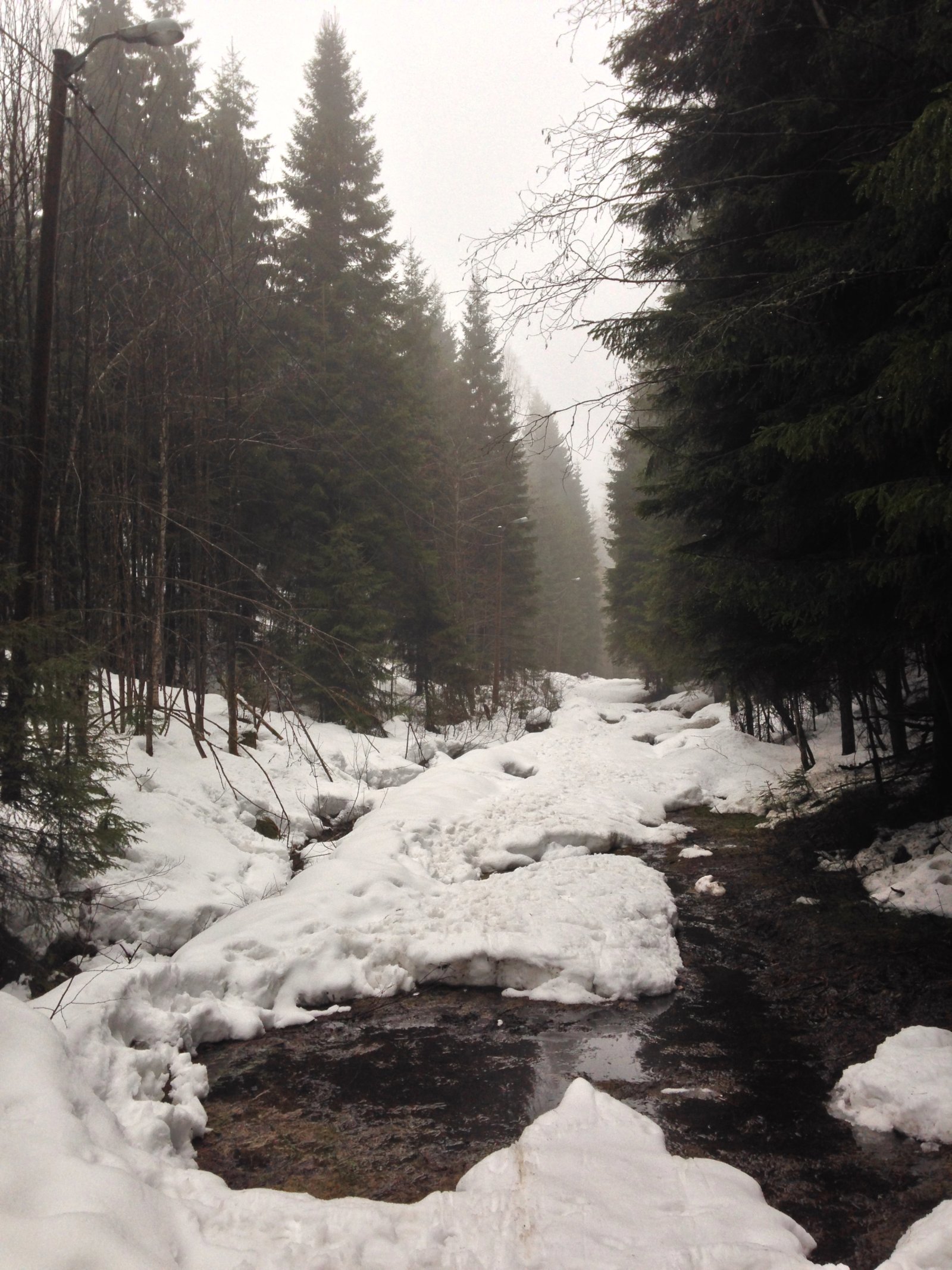 Førefall i Rælingen