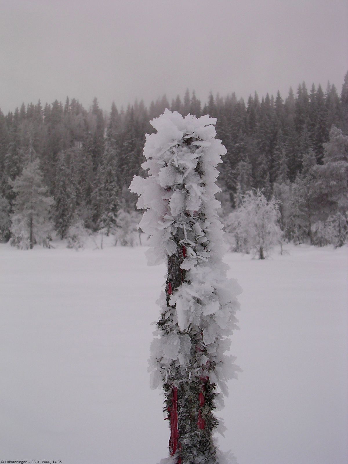 Forfrossen løypepinne ved Rolighaugen