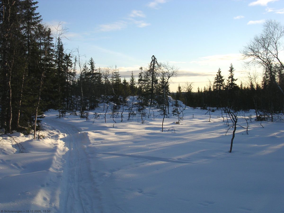 Førjulsstemning i Otertjernsløypa