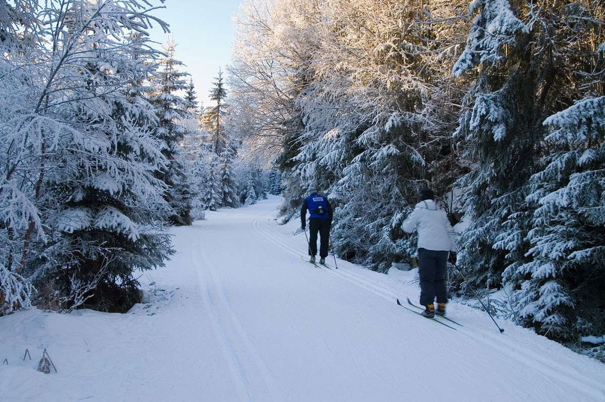 Førjulstur i Vestmarka