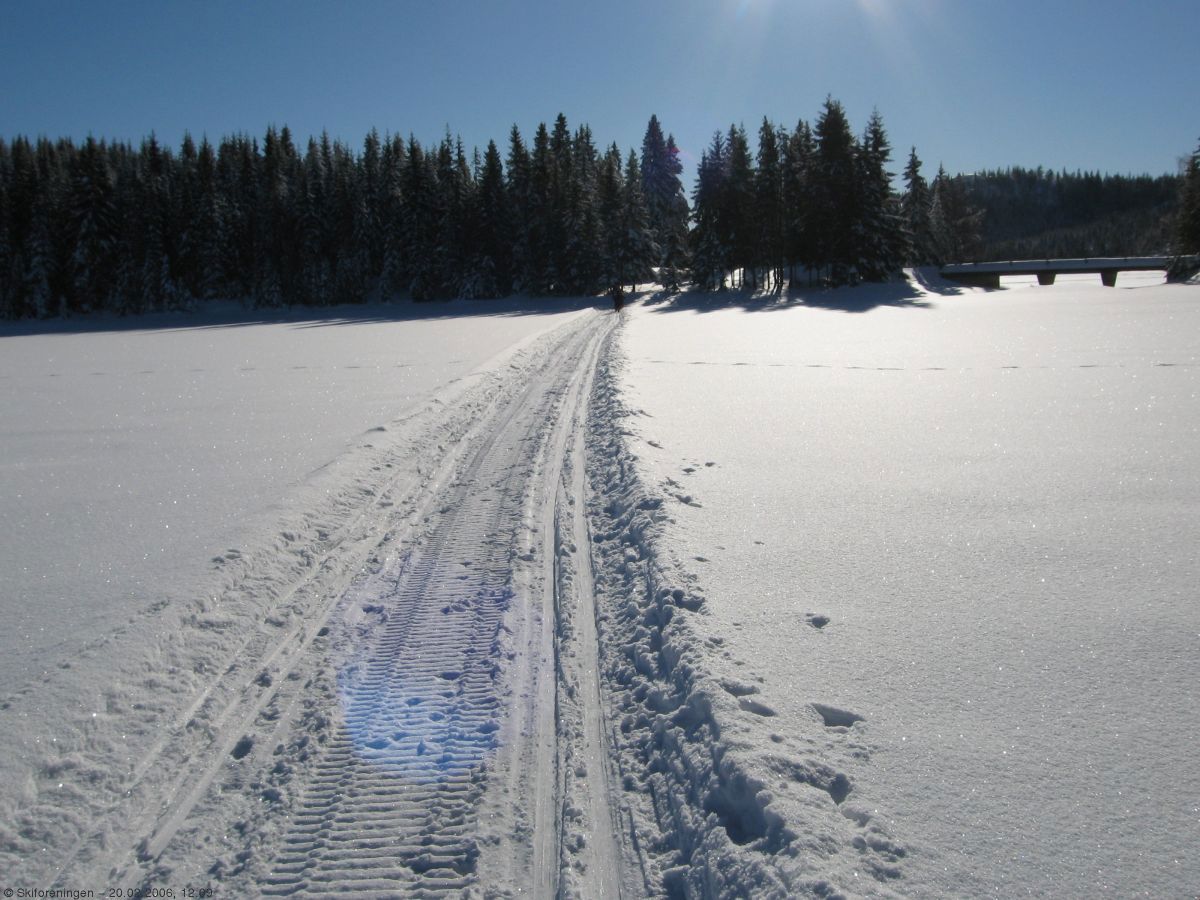 Forlokkende ved Skamræk