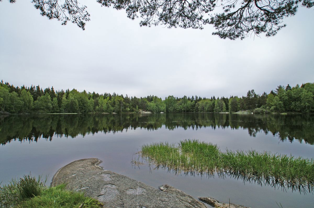 Forsommer ved Øvredam