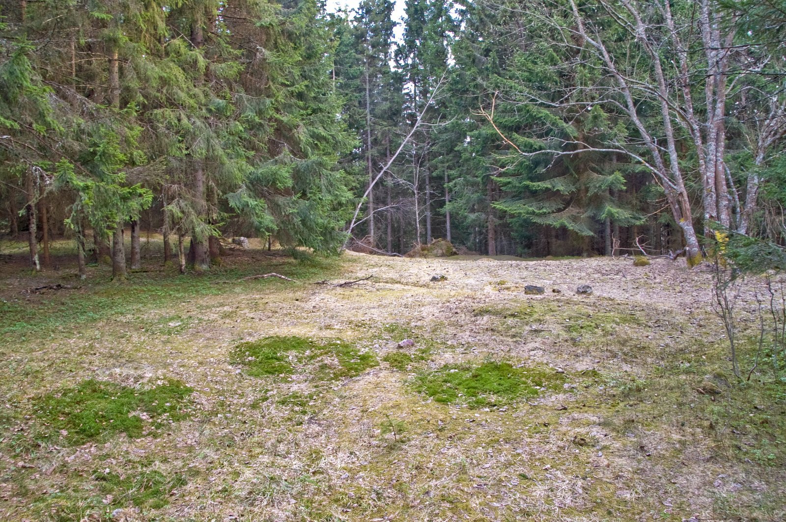 Fortsatt åpent på Lauvåsen