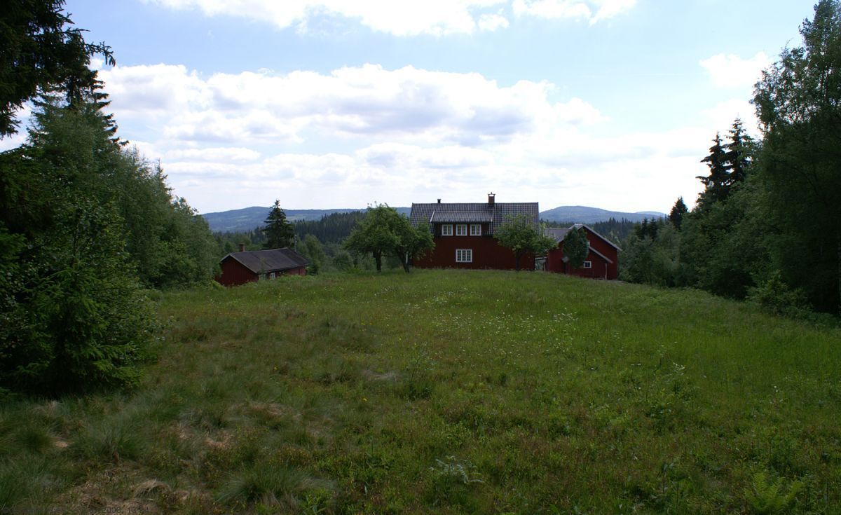 Fortsatt åpne enger ved Mago