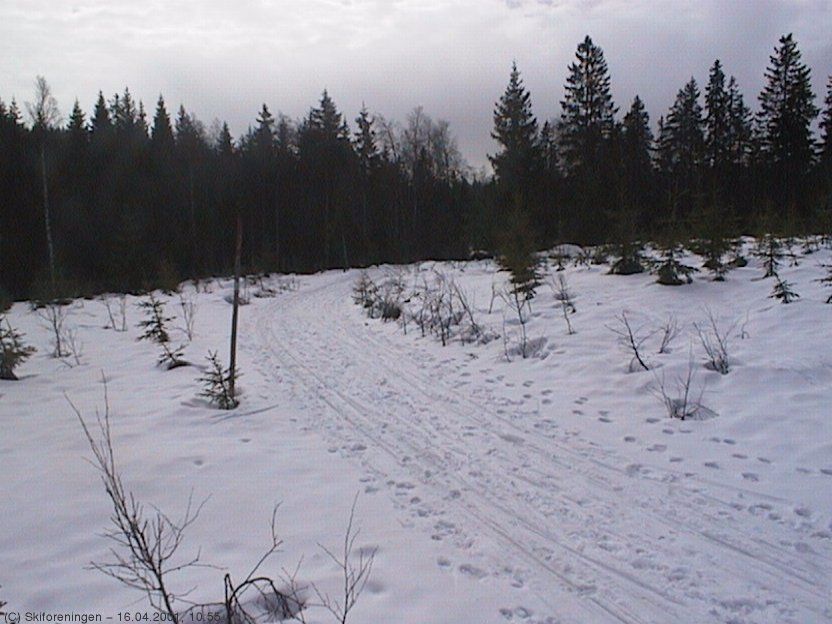 Fortsatt bra skiføre!