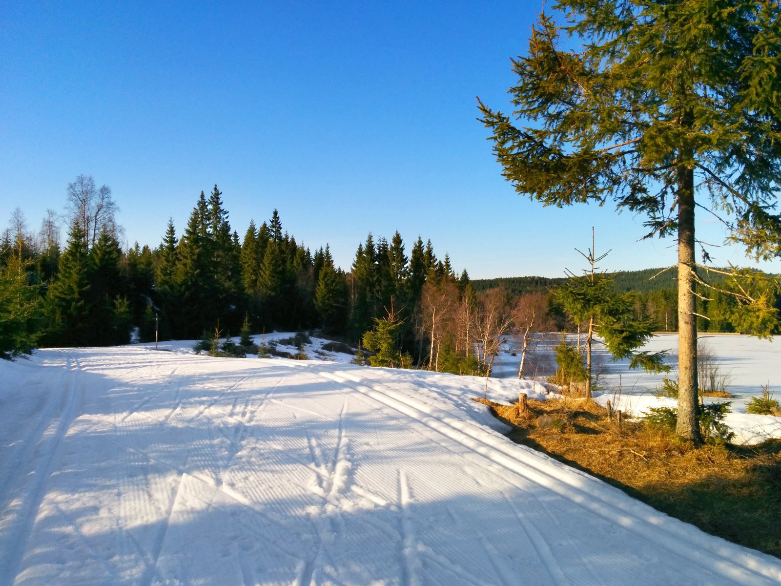 Fortsatt fantastisk føre i Vestmarka