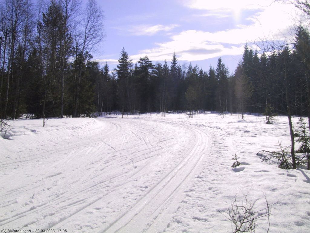 Fortsatt fine forhold på Rundmyr