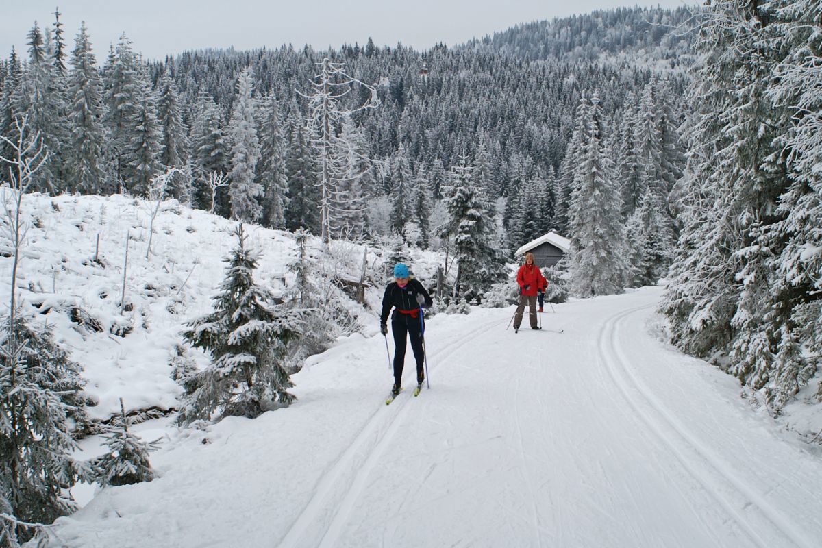 Fortsatt meget gode forhold fra Skoglund