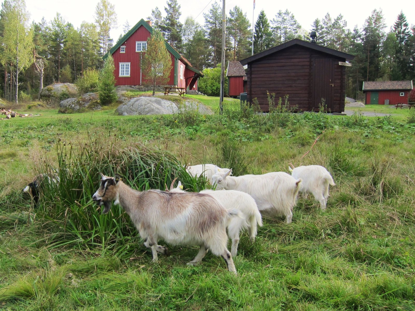 Fortsatt noe å bite i