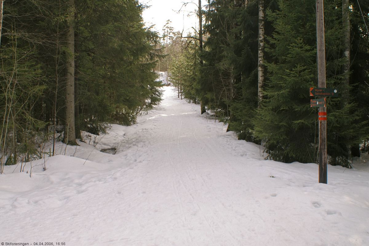 Fortsatt skiføre i Grønliåsen