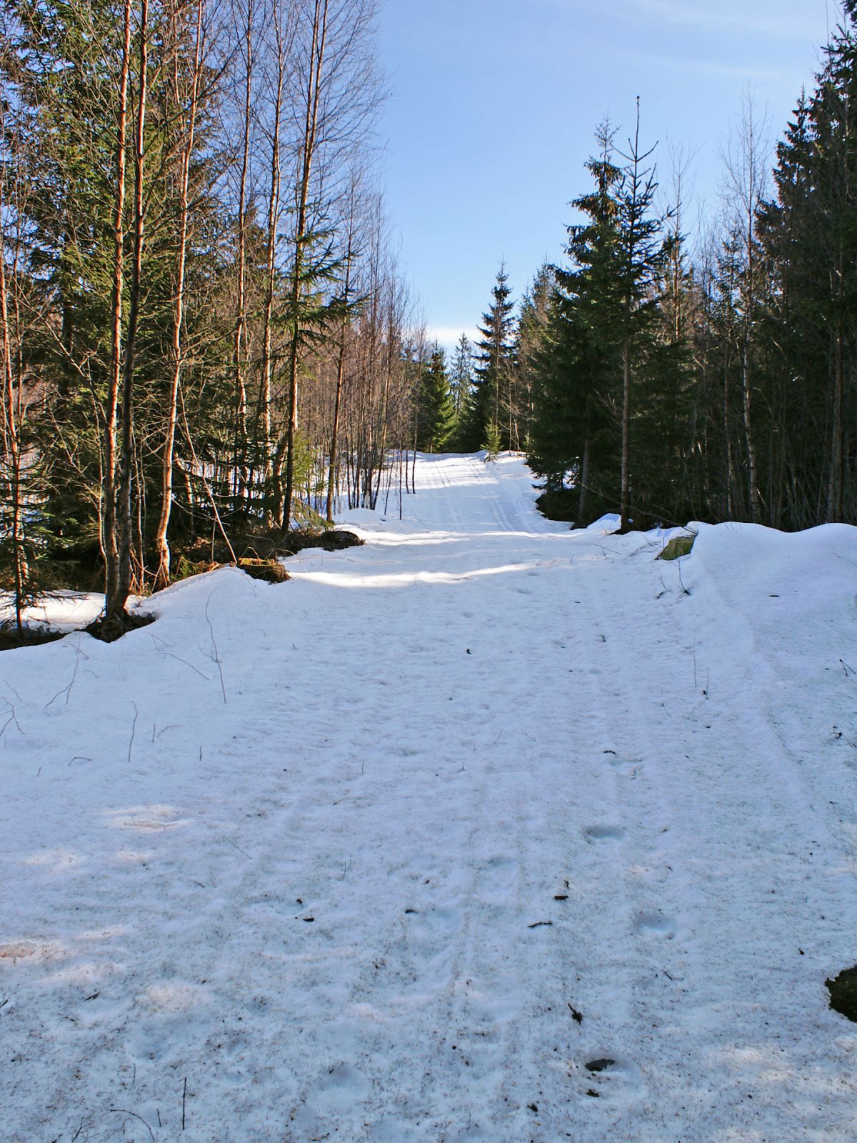 Fortsatt sne igjen i Bergsmarka