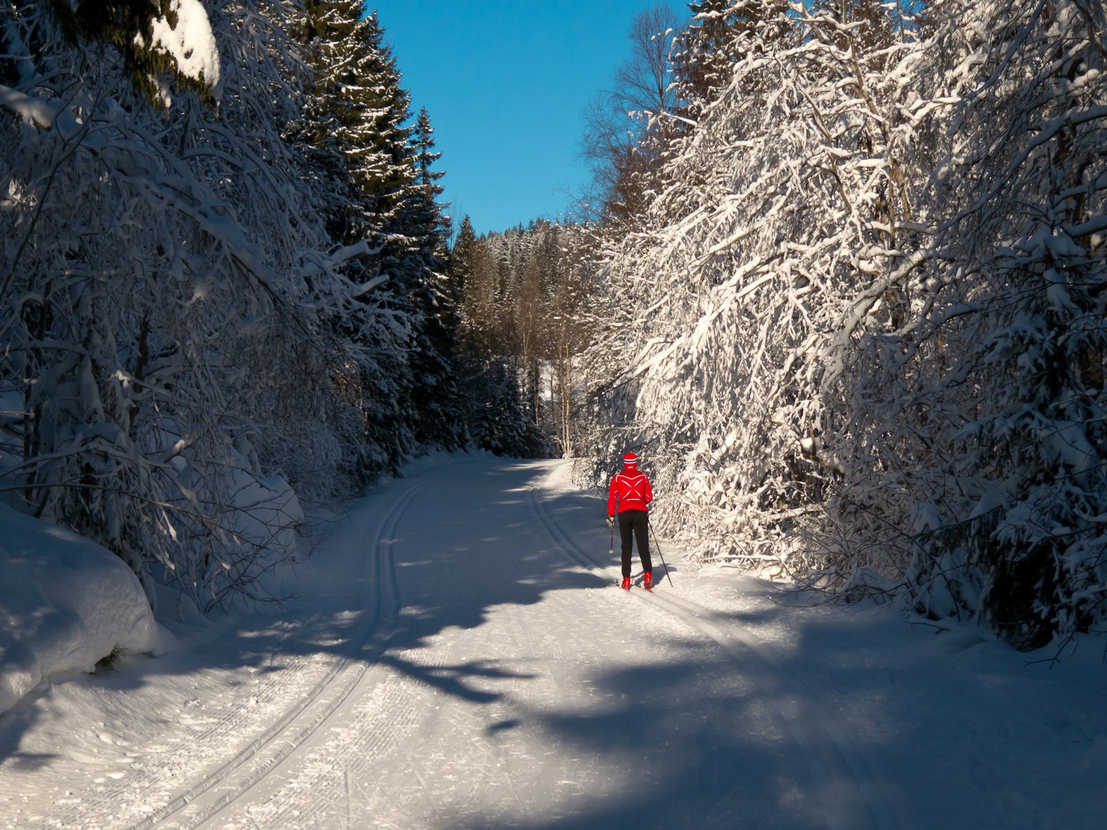 Fortsatt sne på trærne