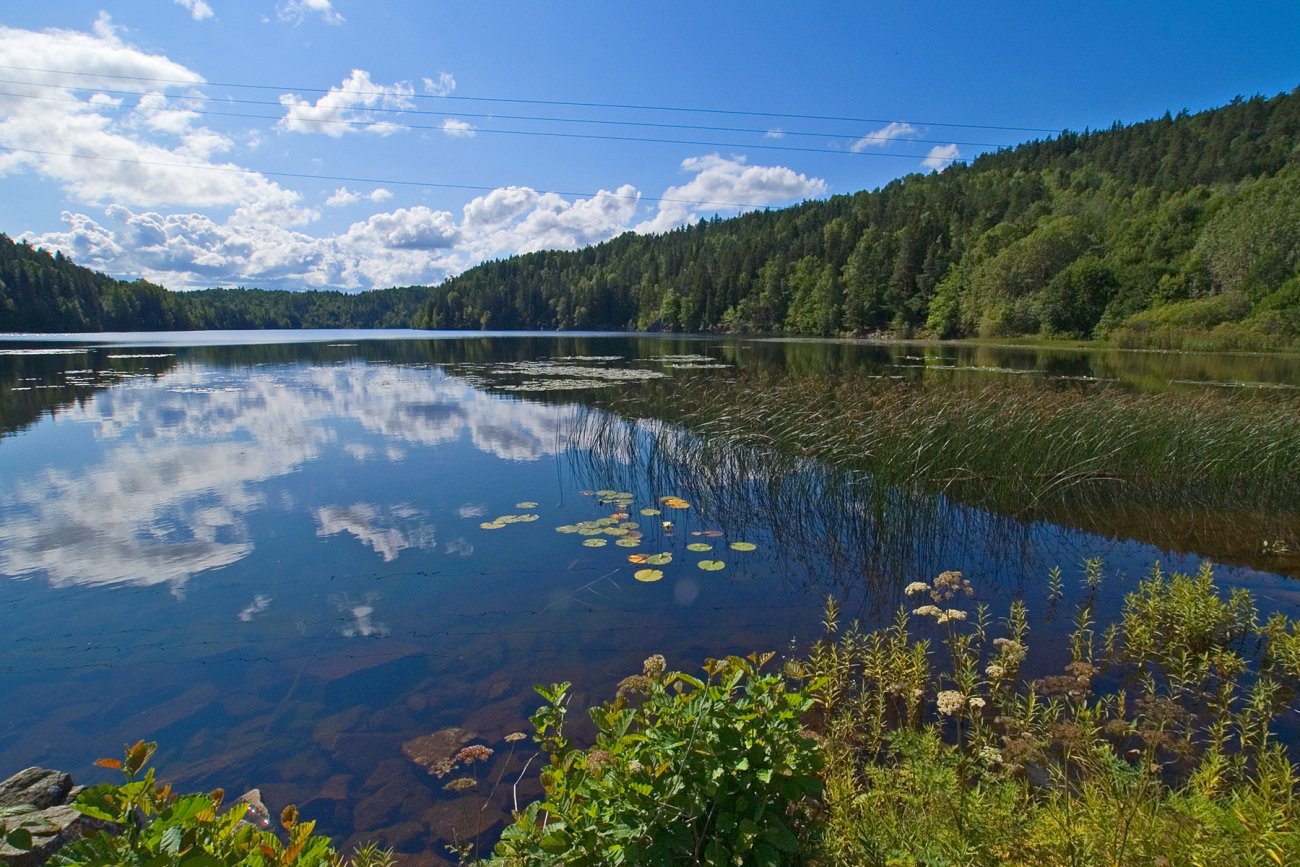 Fortsatt sommer ved Bårdsrudtjern