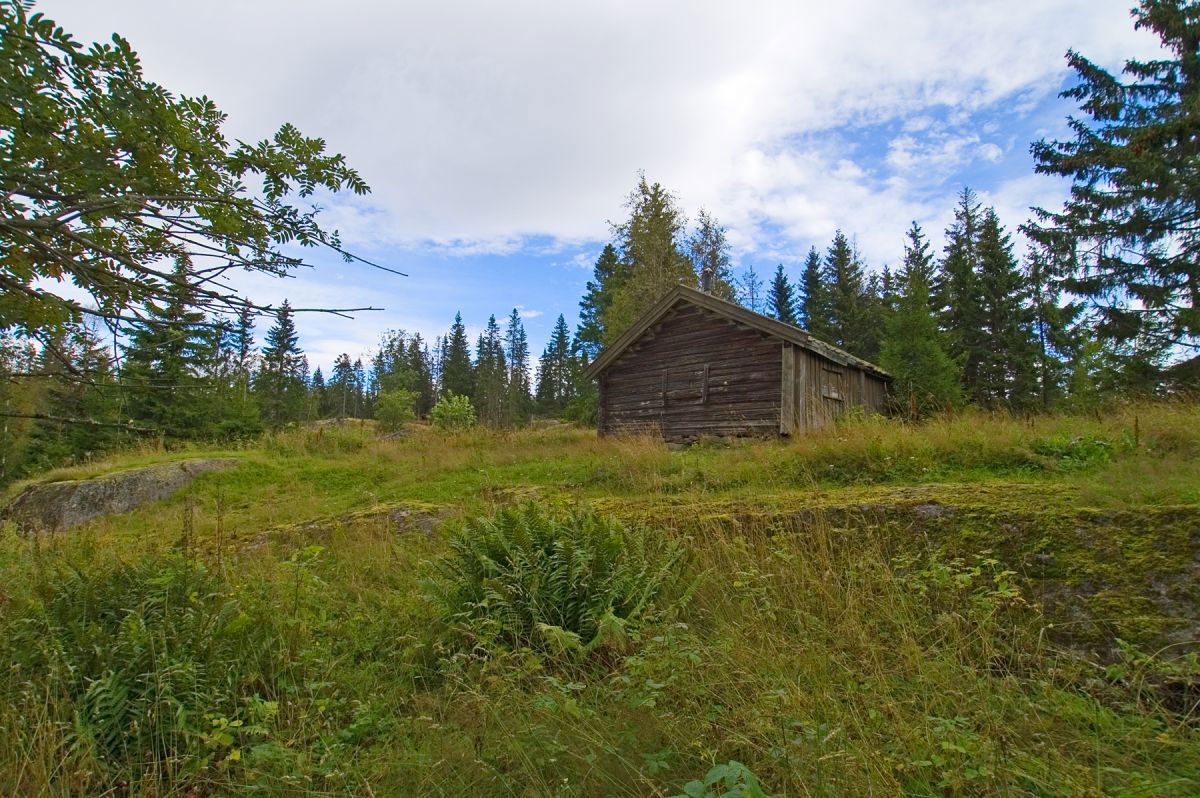 Fortsatt sommerfarger på Finneflakseter