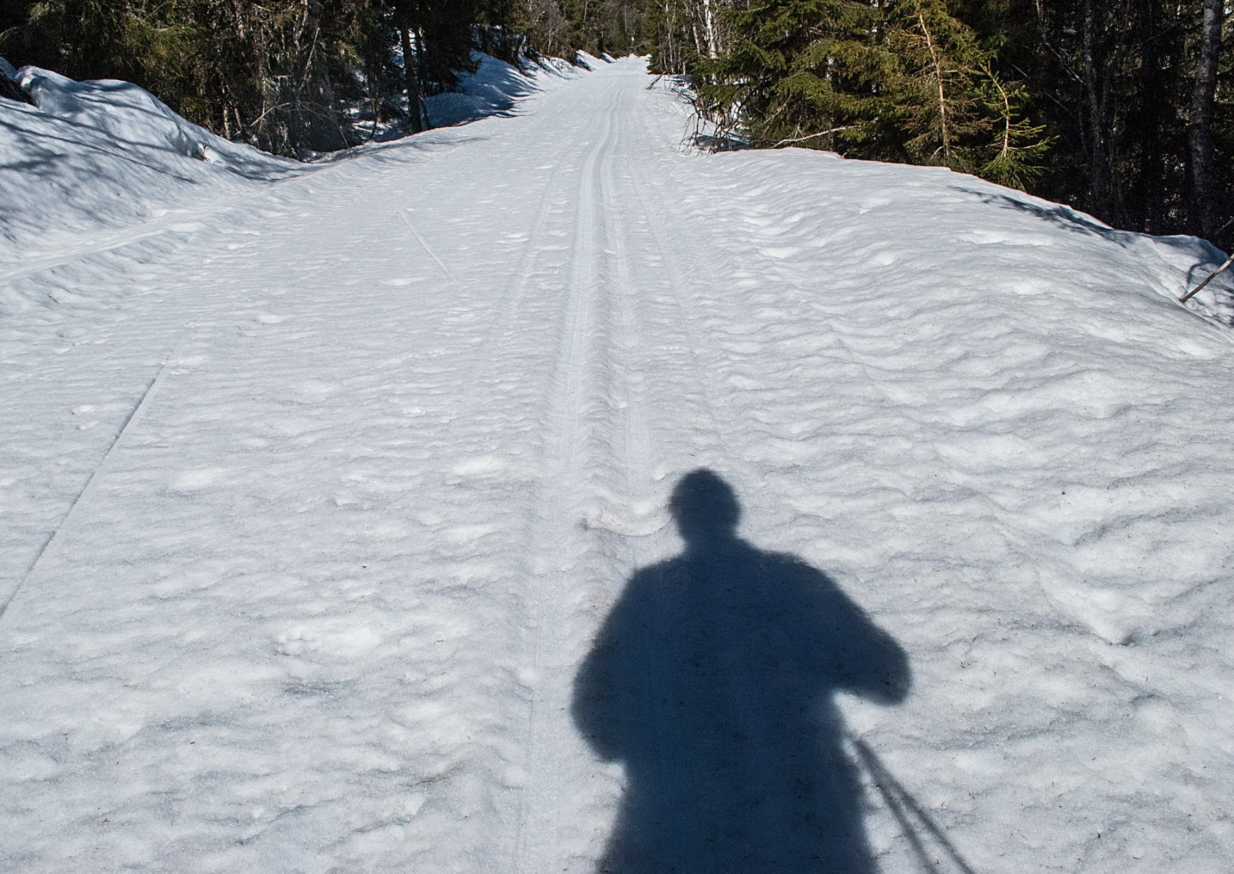 Fortsatt vinterlig i Skrukkelia