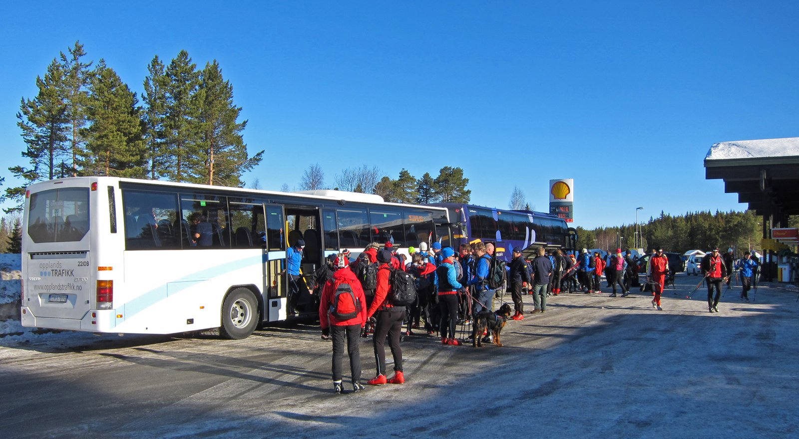 Forventningsfull stemning på Lygnasæter