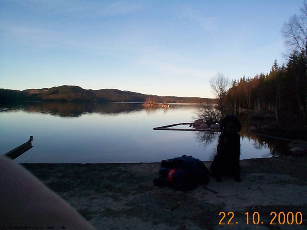 Fra dammen i Helgeren