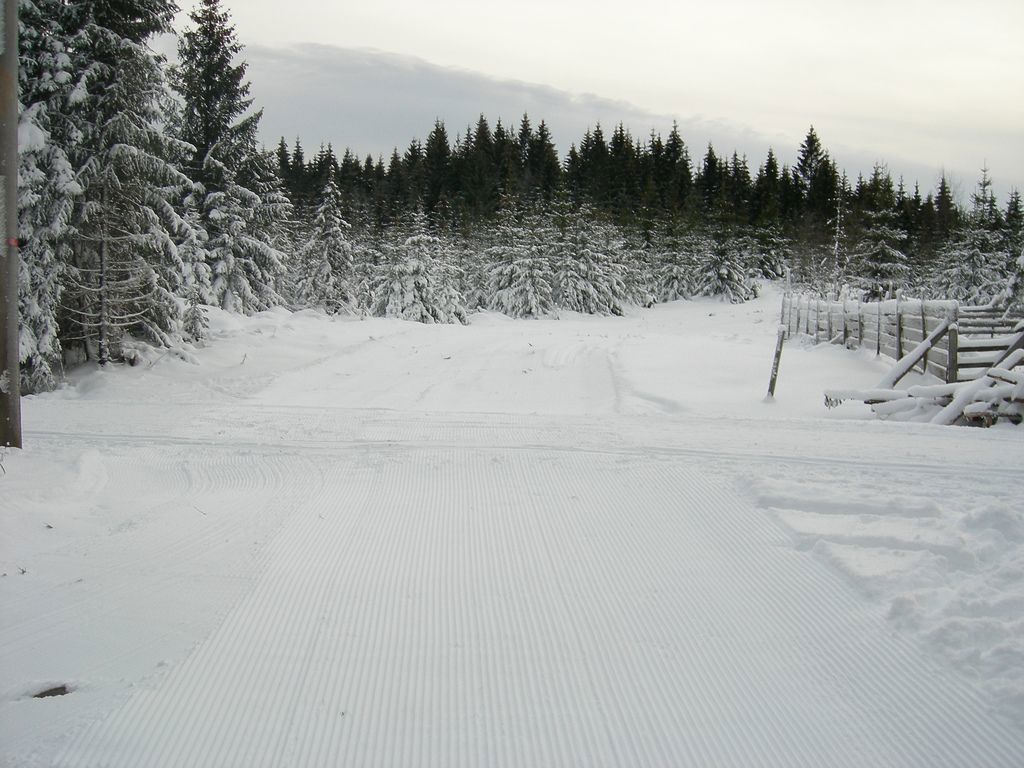 Fra den nye lysløypa på Solli