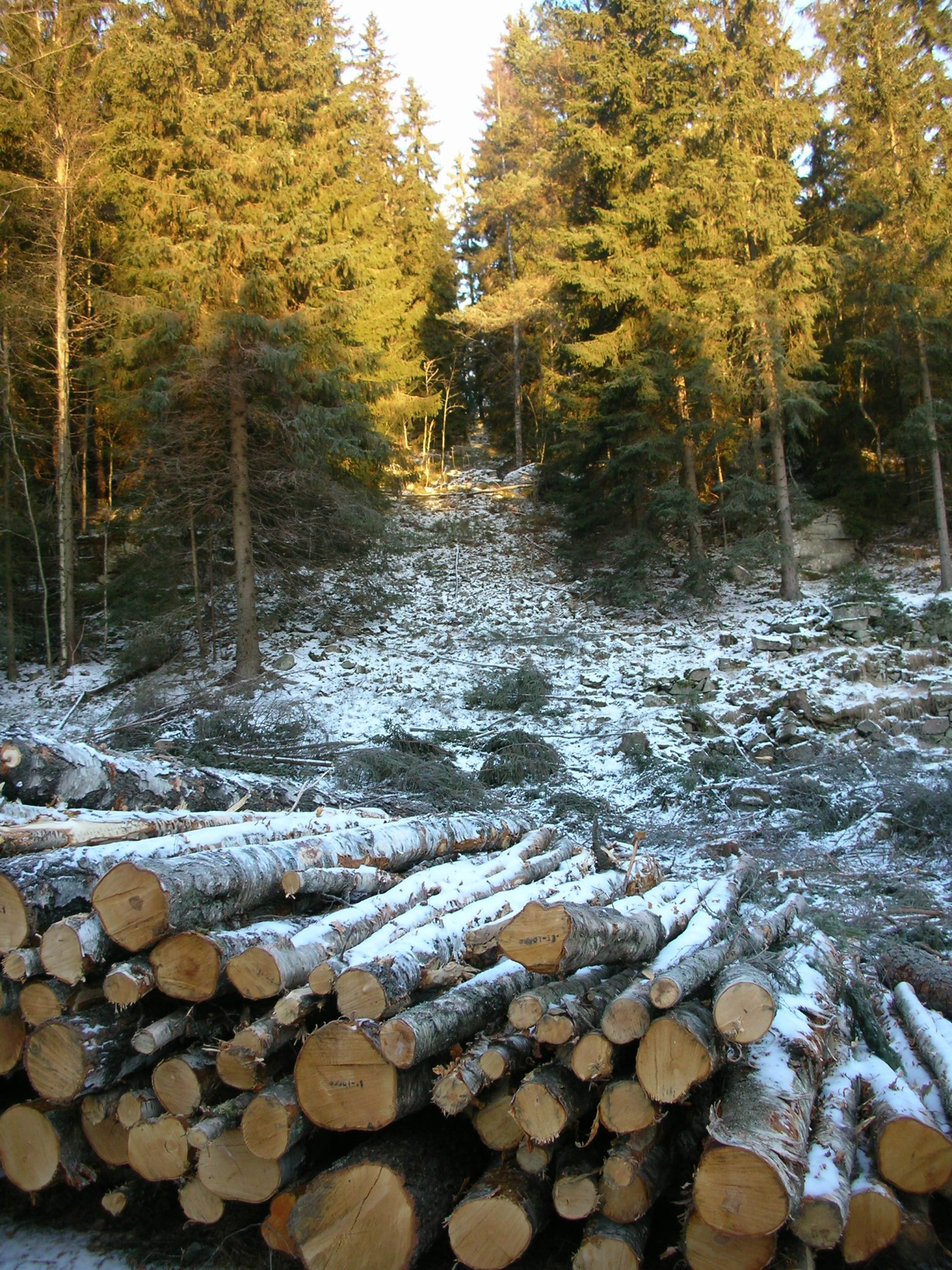 Fra glemselens slør