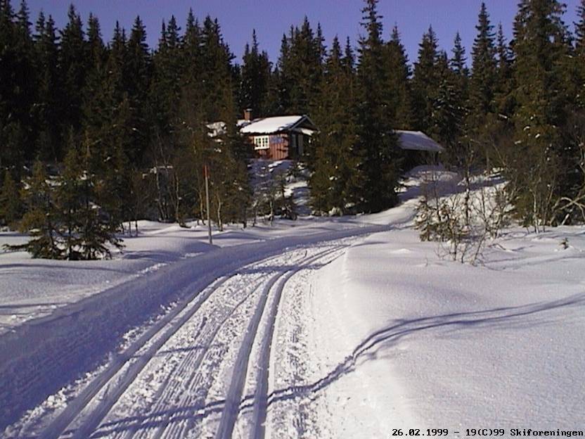 Fra Høgåsen på Ringkollen