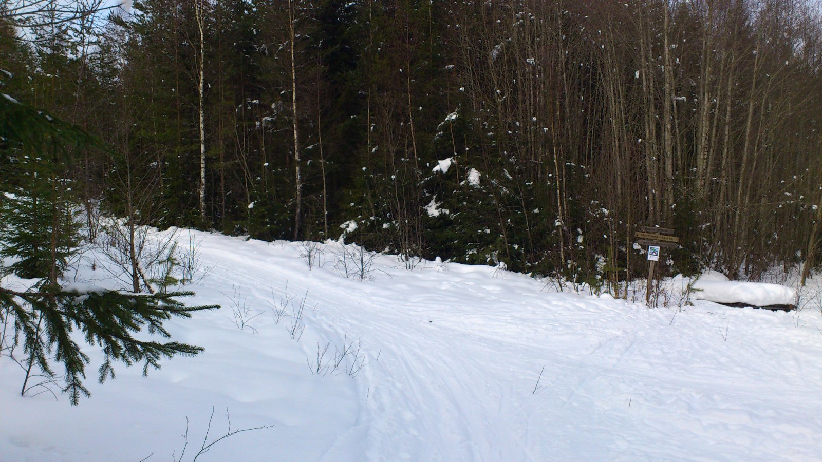 Fra innfallsporten Den gule grinda