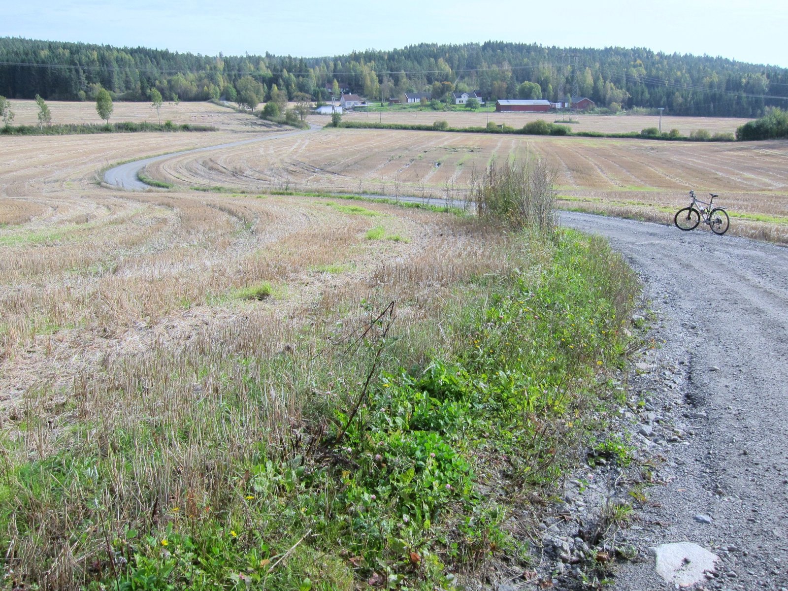Fra kulturlandskapet til skogen