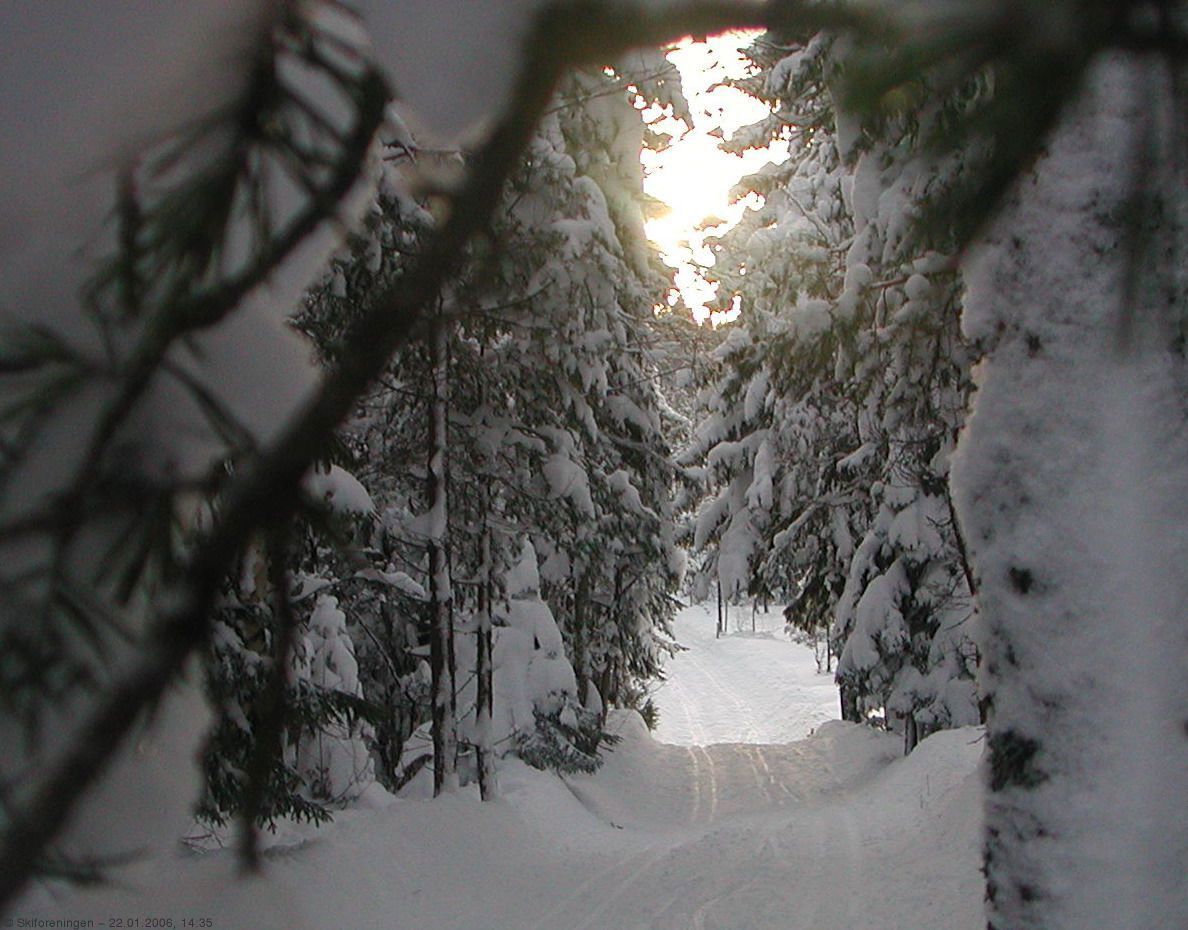 Fra løypa Enga - Herstadhei