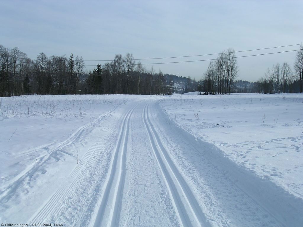 Fra løypa mellom Griniveien og Lund