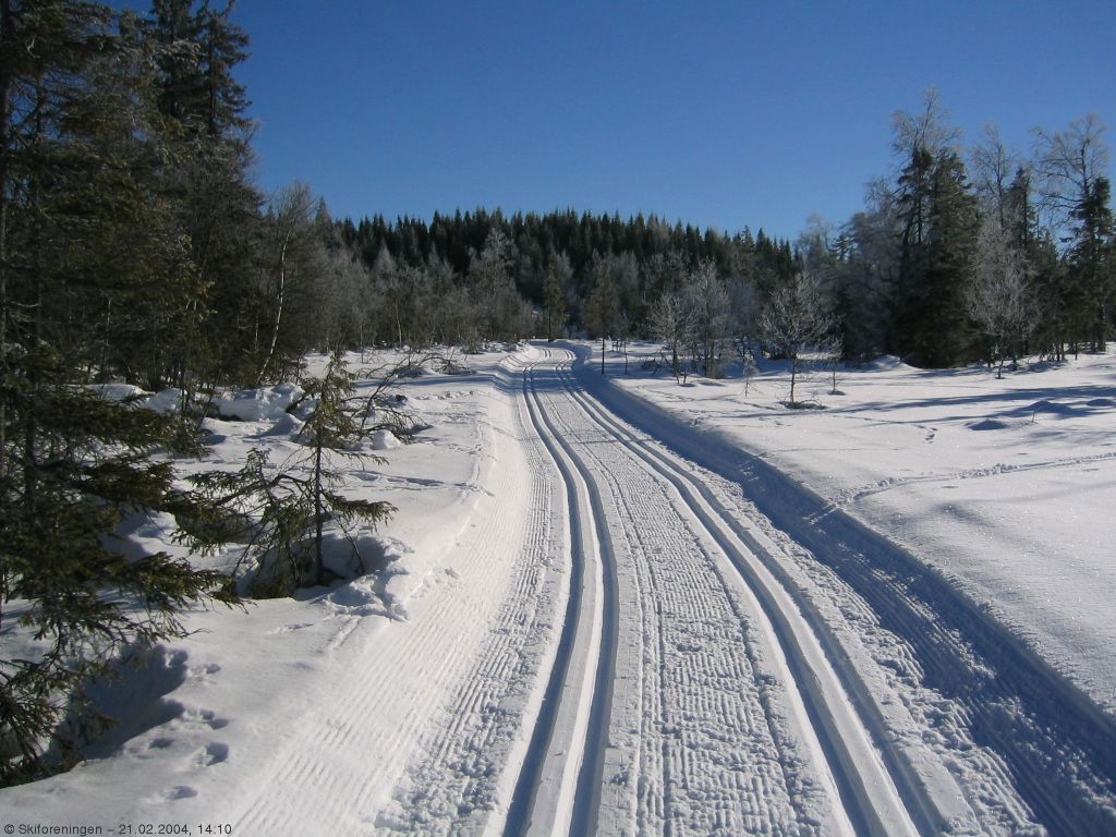 Fra løypa mellom Koperud og Bruvoll