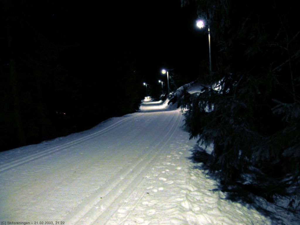 Fra løypa Midtsua - Skistua