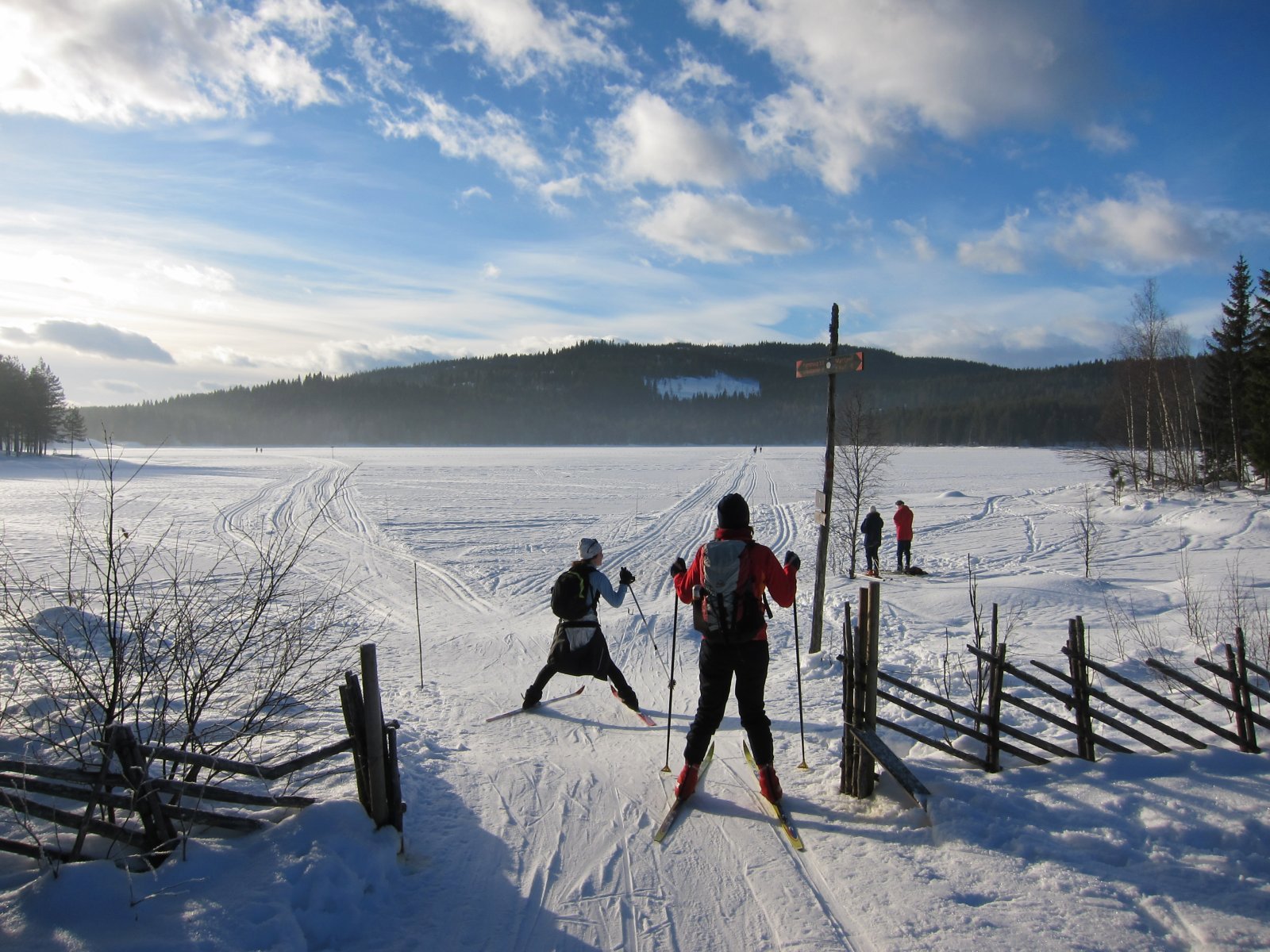 Fra løypekrysset øst på Rottungen