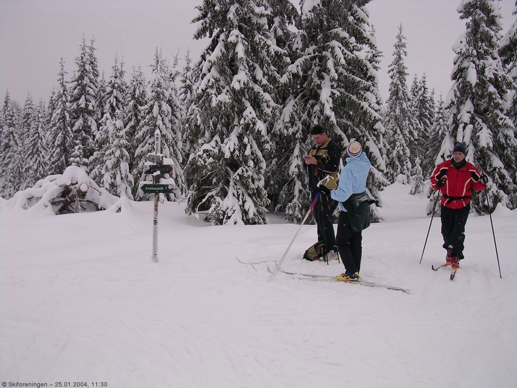 Fra løypekrysset rett nedenfor Sørsetra