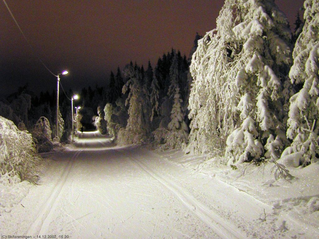 Fra lysløypa i Frognerseteråsen