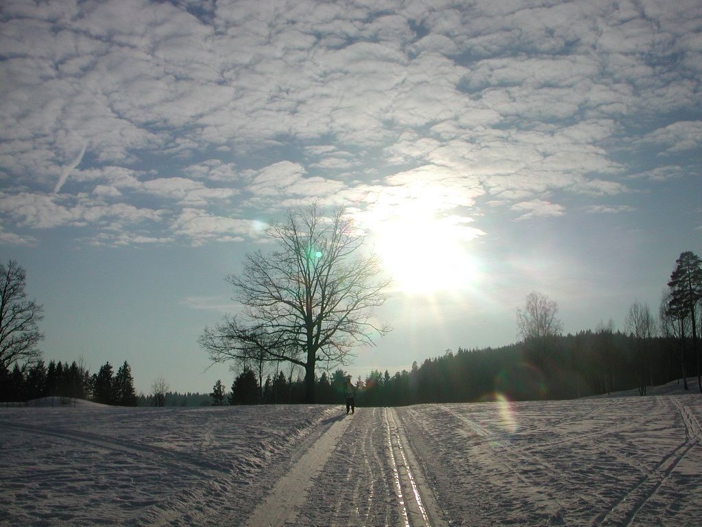 Fra lysløypa på Solvang over Golfbanen