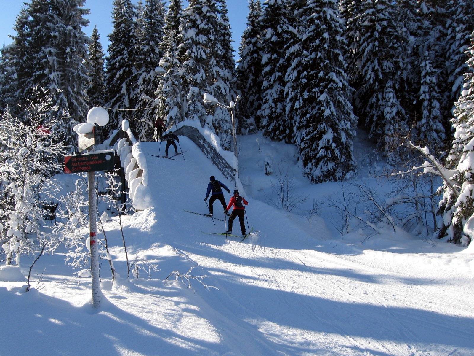 Fra lysløypa rundt Kleivstua