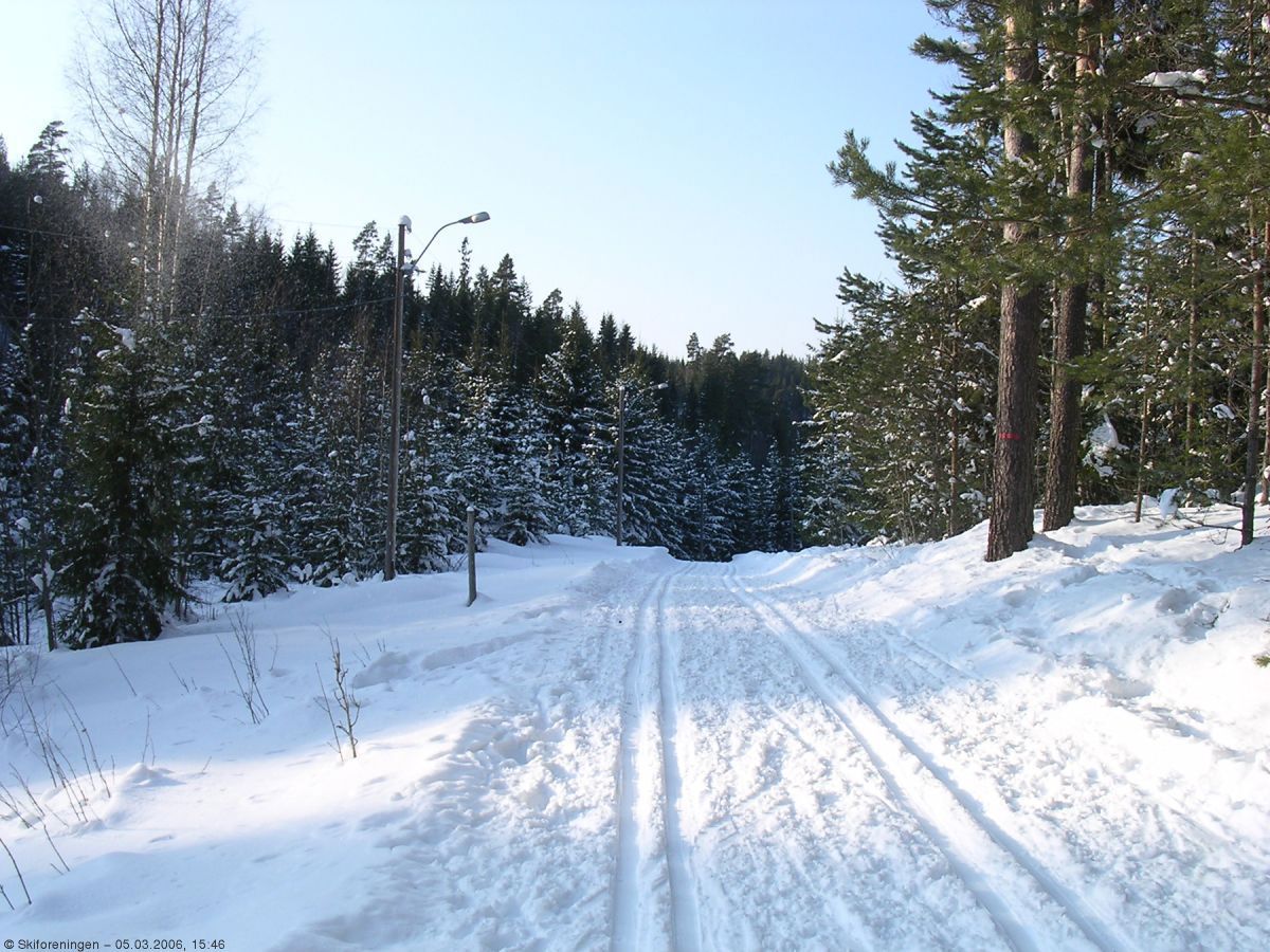Fra lysløypetraseen på Siggerud