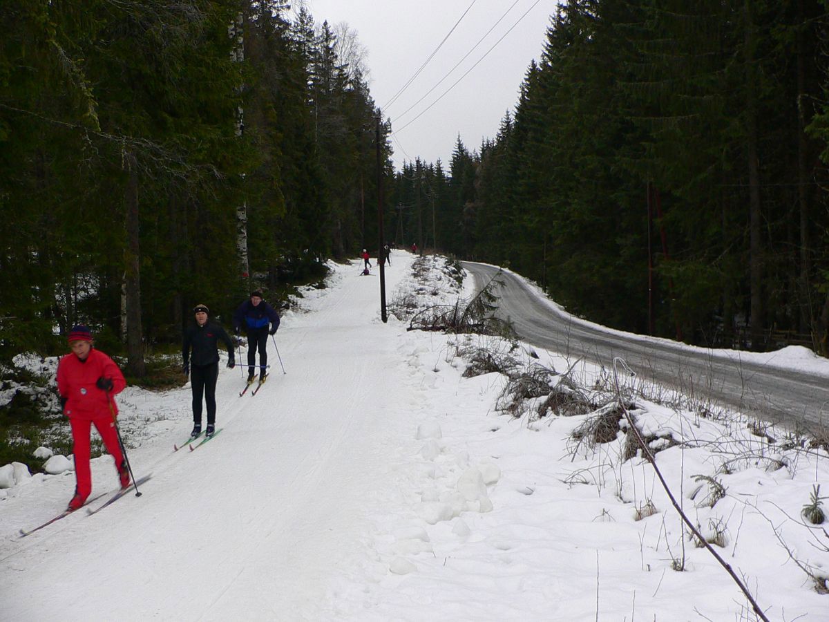 Fra Skansebakken til Skrubbdal