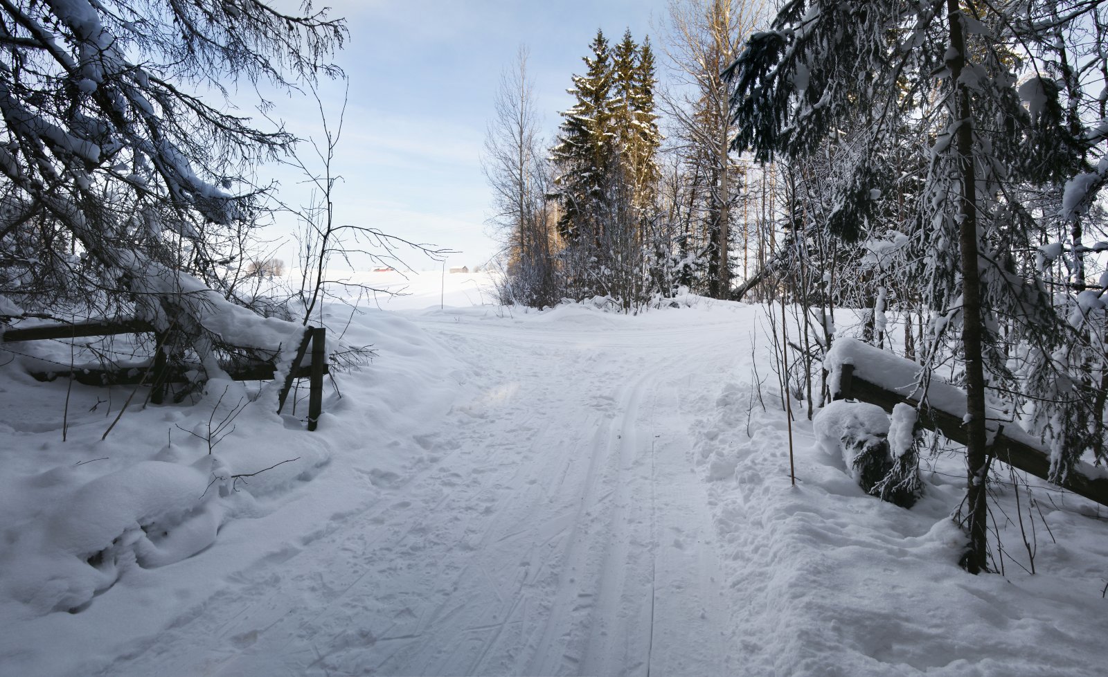 Fra skog til kulturlandskap