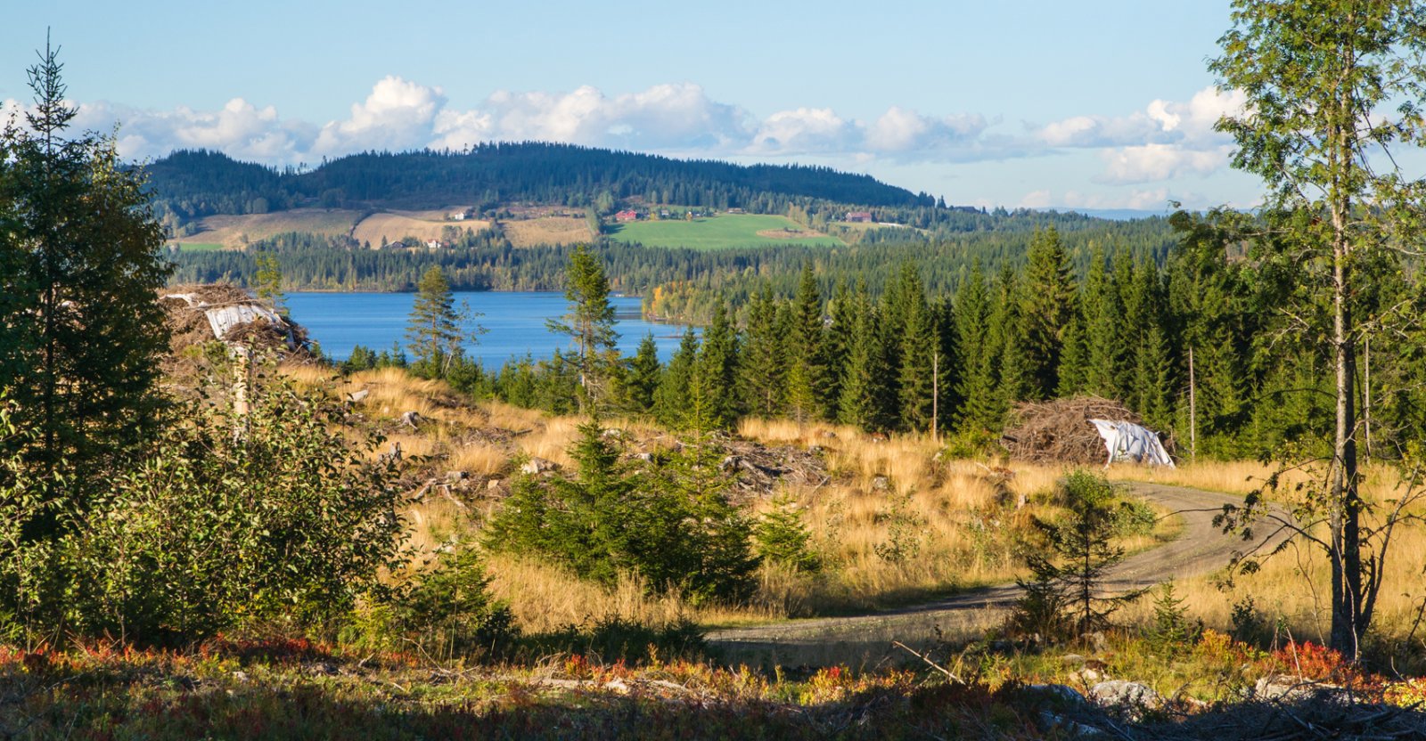 Fra Sveum mot Skumsjøen