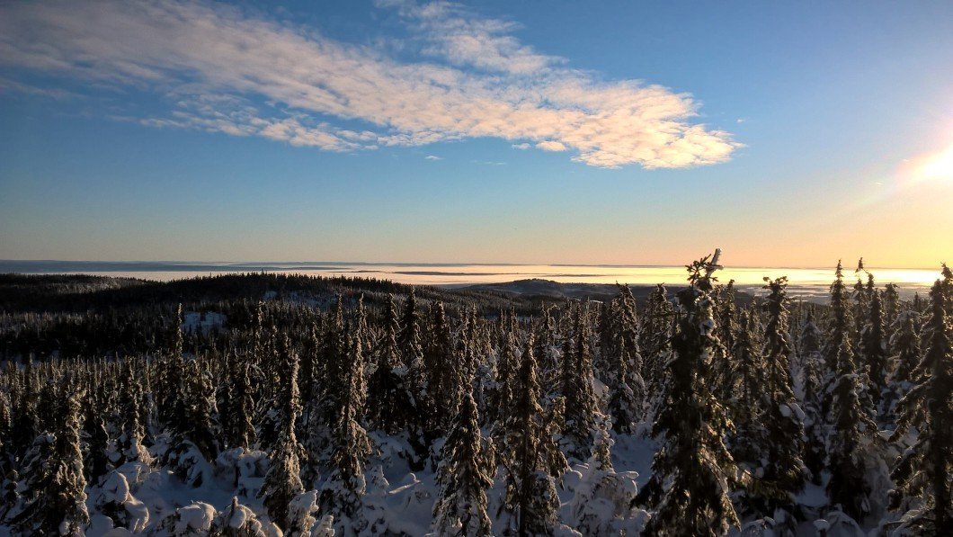 Fra tårnet på Marifjell