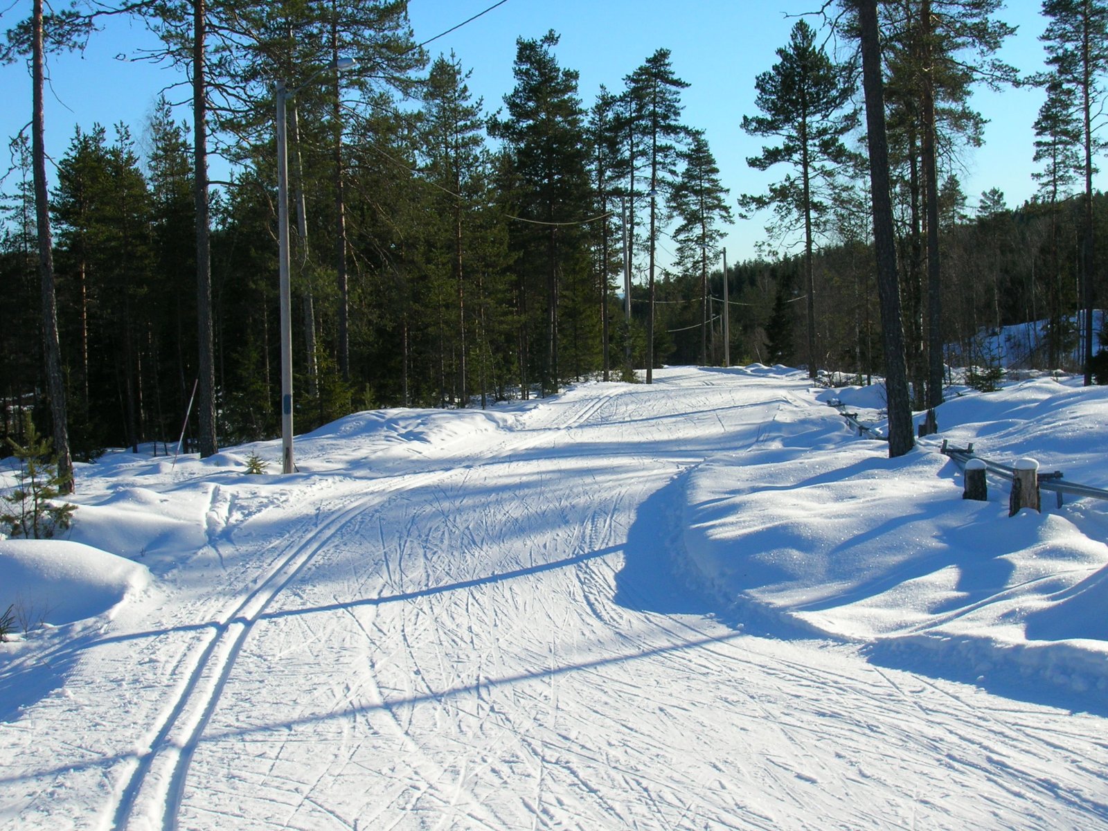 Fra traseen i Nes skianlegg